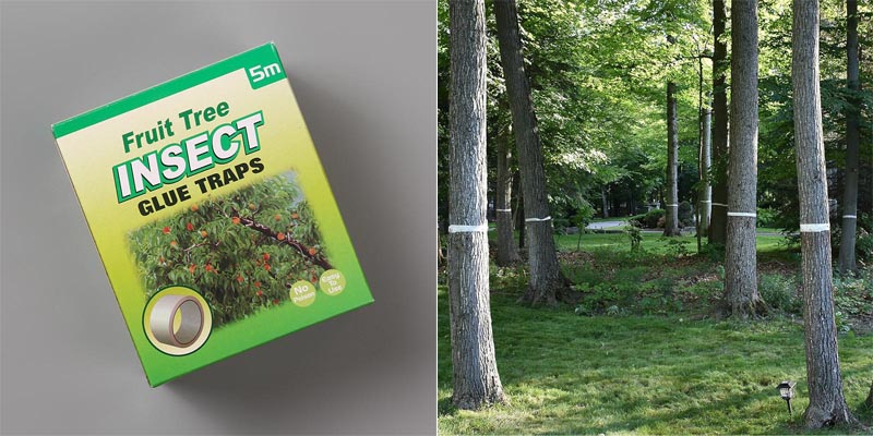 insect barrier tape application